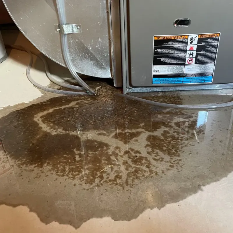 Pipe Burst and Leak Restoration in Miami County, OH