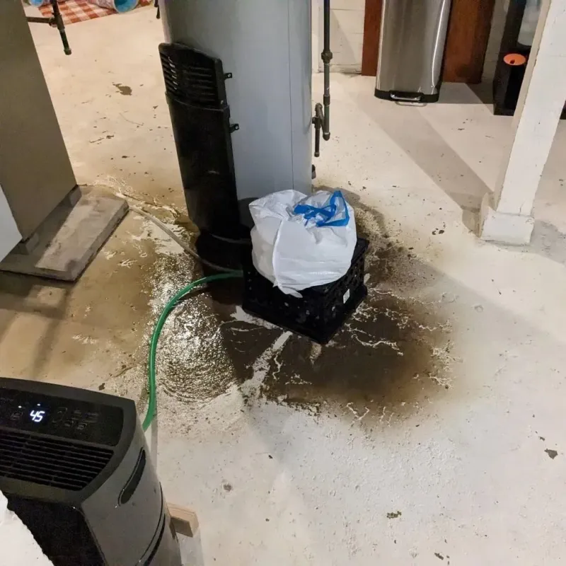 Sewage Backup Cleanup Service in Miami County, OH